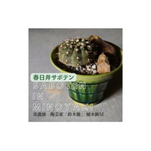 ふるさと納税 春日井市 多治見市×春日井市コラボ...の商品画像