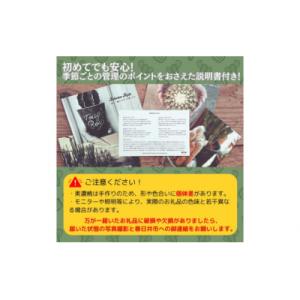 ふるさと納税 春日井市 多治見市×春日井市コラ...の詳細画像1