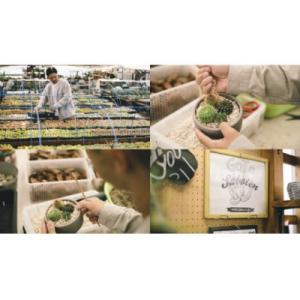 ふるさと納税 春日井市 多治見市×春日井市コラ...の詳細画像3