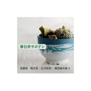 ふるさと納税 春日井市 多治見市×春日井市コラボ 【美濃焼】 陶芸家「北川和喜」碗型植木鉢　S×春日...