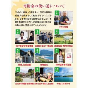 ふるさと納税 陸前高田市 【返礼品なし】 岩手...の詳細画像3