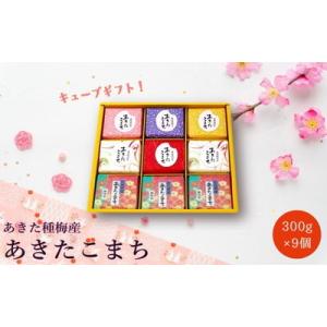 ふるさと納税 能代市 白米 無洗米 あきたこまち 300gキューブ ギフト 300g×9個[No.5...
