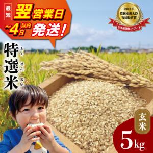 ふるさと納税 明和町 (有)松幸農産 特選米 玄米 5kg 三重県産 コシヒカリ　MK19