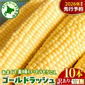 ふるさと納税 芽室町 【訳あり】北海道十勝芽室町 とうもろこし ゴールドラッシュ10本　me078-006c