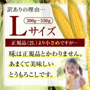 ふるさと納税 芽室町 【訳あり】【先行受付】北...の詳細画像1