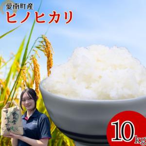 ふるさと納税 愛南町 【先行予約】 令和8年度産 新米 ヒノヒカリ 10kg 愛媛県 愛南町 愛南町青果市場
