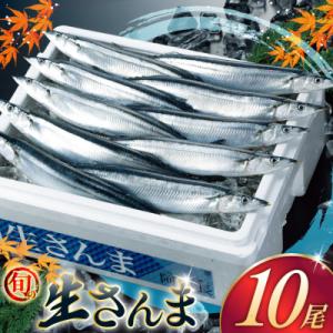 ふるさと納税 気仙沼市 【期間限定発送】 生 さんま 10尾 [阿部長商店 宮城県 気仙沼市 205...