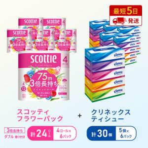 ふるさと納税 岩沼市 ティッシュ+トイレットペーパー6P [No.5704-1780]