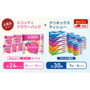 ふるさと納税 岩沼市 ティッシュ+トイレットペ...の詳細画像1