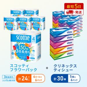 ふるさと納税 岩沼市 ティッシュ+トイレットペーパー6P[No.5704-1796]