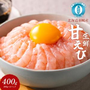 ふるさと納税 羽幌町 超速リキッド凍結でドリップゼロ!北海道羽幌産生鮮甘えび 400g【03125】