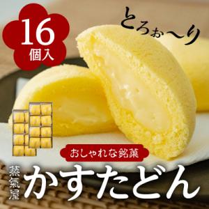 ふるさと納税 鹿児島市 かすたどん 16個入　K167-001