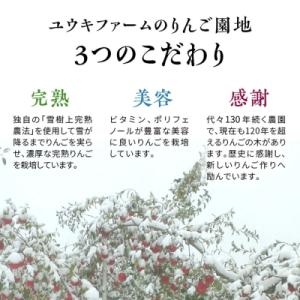 ふるさと納税 弘前市 りんご 葉とらずサンふじ...の詳細画像3