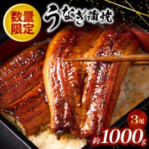 ふるさと納税 新宮町 うなぎの蒲焼3尾(計1,000g前後)『1〜2ヶ月前後でお届け!!』.AA247