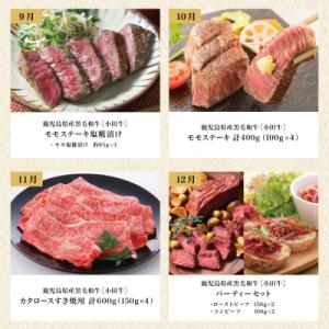 ふるさと納税 南さつま市 【全12回】プレミア...の詳細画像3