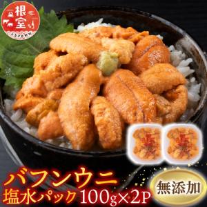 ふるさと納税 根室市 ＜12/7まで年内配送＞無添加エゾバフンウニ(赤系)100g×2P B-200...