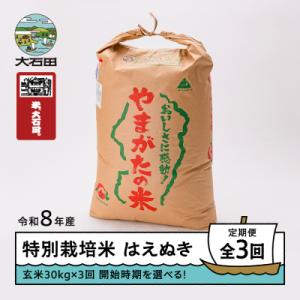 ふるさと納税 大石田町 【先行予約】 【3回定期便】 新米 米 はえぬき 30kg 玄米 令和8年産 1月・4月・7月発送