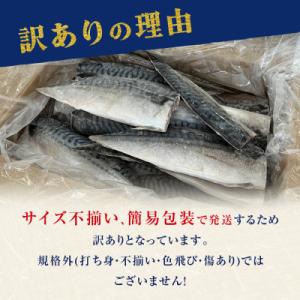 ふるさと納税 石巻市 さば < 訳あり ...の詳細画像1
