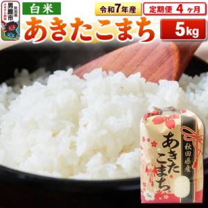 ふるさと納税 男鹿市 《定期便4ヶ月》令和7年産【白米】秋田県産 あきたこまち 5kg|23_kml-030504