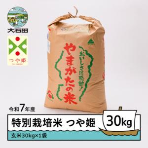 ふるさと納税 大石田町 米 つや姫 30kg 令和7年産 【2026年3月上旬発送】山形県産 特別栽培米 玄米
