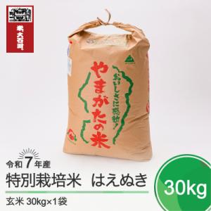 ふるさと納税 大石田町 新米 米 はえぬき 30kg 令和7年産 【2026年1月下旬発送】山形県産 特別栽培米 玄米