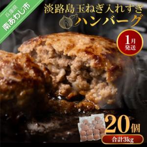 ふるさと納税 南あわじ市 【R8.01月発送】淡路島玉ねぎ入れすぎハンバーグ 3kg(150g×20...