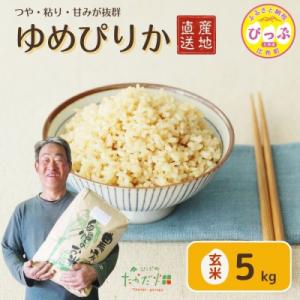 ふるさと納税 比布町 令和7年産 たかだ畑 ゆめぴりか 玄米5kg