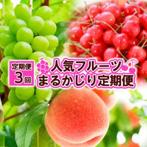 ふるさと納税 山形市 【定期便3回】人気フルーツ まるかじり定期便 FZ25-726