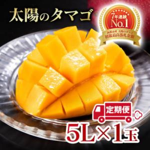 ふるさと納税 西都市 【令和8年2ヶ月定期便】西都市産完熟マンゴー 太陽のタマゴ5L×1玉【先行受付】[2915]