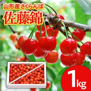 ふるさと納税 山形市 さくらんぼ 佐藤錦 1kg L以上 バラ詰 【令和9年産先行予約】FS25-5...