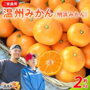 ふるさと納税 西予市 温州みかん(明浜みかん) 家庭用 約2kg 内容量 温州 うんしゅう みかん