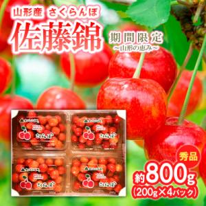 ふるさと納税 山形市 さくらんぼ 佐藤錦 約800g (200g×4) 期間限定【令和9年産先行予約...