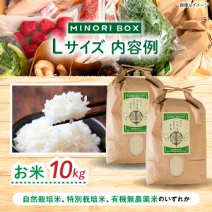ふるさと納税 糸島市 全12回定期便 糸島産 ...の詳細画像1
