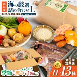 ふるさと納税 糸島市 全6回定期便 糸島産 魚 米 野菜 果物 厳選詰め合わせ MINORI BOX L [AOP029]
