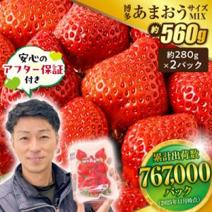 ふるさと納税 宗像市 【アフター保証】 JAよりお届け!「博多あまおう」約280g×2パック_HA1...