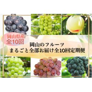 ふるさと納税 和気町 【令和8年発送・先行受付】岡山のフルーツまるごと全部お届け全10回定期便　Bm-1