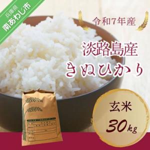 ふるさと納税 南あわじ市 令和7年産　淡路島産キヌヒカリ　玄米30kg