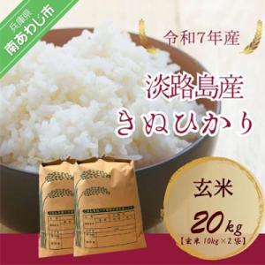ふるさと納税 南あわじ市 令和7年産　淡路島産キヌヒカリ　玄米20kg