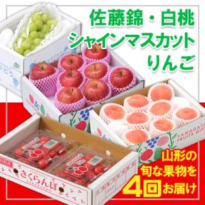ふるさと納税 山形市 【定期便4回】☆フルーツ王国山形☆『佐藤錦、白桃、シャインマスカット、りんご』 FY25-309