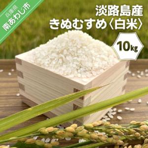 ふるさと納税 南あわじ市 淡路島産きぬむすめ　白米10kg