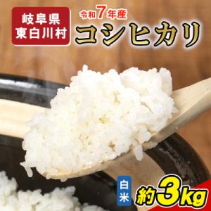 ふるさと納税 東白川村 令和7年産 コシヒカリ 精米 約3kg 米 岐阜県 東白川村産