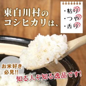 ふるさと納税 東白川村 令和7年産 コシヒカリ...の詳細画像1