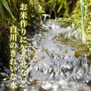 ふるさと納税 東白川村 令和7年産 コシヒカリ...の詳細画像2