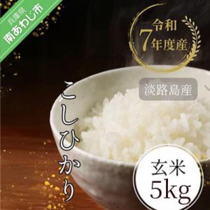 ふるさと納税 南あわじ市 令和7年産　淡路島産こしひかり　玄米5kg