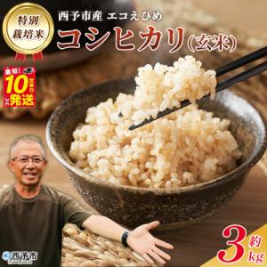 ふるさと納税 西予市 <令和7年産 西予市産 特別栽培米 エコえひめ コシヒカリ 玄米 約3kg>国産