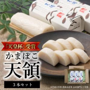 ふるさと納税 天草市 天皇杯受賞 かまぼこ天領3本セット_S032-004