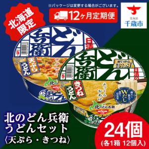 ふるさと納税 千歳市 【定期便12カ月】日清 北...の商品画像