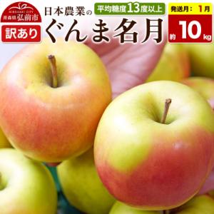ふるさと納税 弘前市 【27年1月発送】りんご ぐんま名月【訳あり】約10kg|24_nng-091001ah