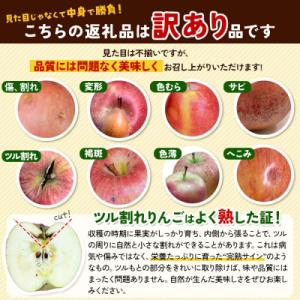 ふるさと納税 弘前市 【27年1月発送】りんご...の詳細画像2
