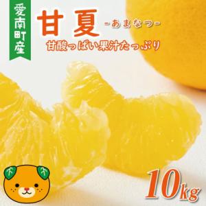 ふるさと納税 愛南町 【先行予約:2026年12月中旬〜発送】 訳あり 甘夏 10kg くらもとファ...